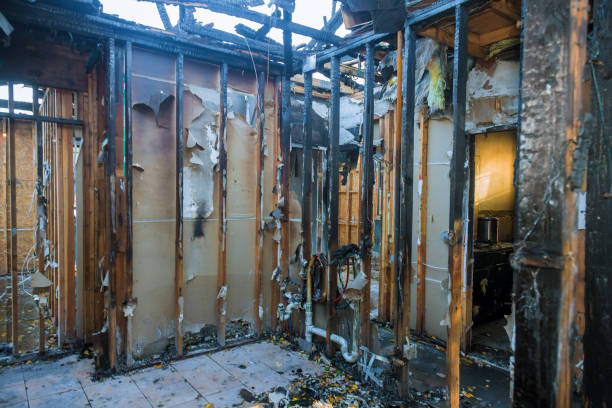 Professional Fire Damage Removal technician working in Deer Park, TX