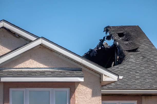 Top rated local Fire Damage Removal specialists in Deer Park, TX